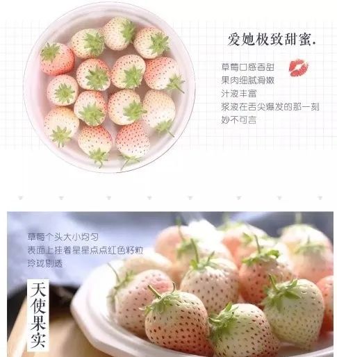 巾幗農(nóng)創(chuàng)銷(xiāo)萬(wàn)戶 路橋優(yōu)質(zhì)農(nóng)產(chǎn)品線上購(gòu)