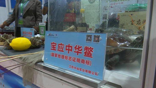 寶應(yīng)3企業(yè)優(yōu)質(zhì)農(nóng)產(chǎn)品亮相江蘇農(nóng)展會(huì)，上海市民競(jìng)相“打call”